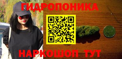 jwh Бердск