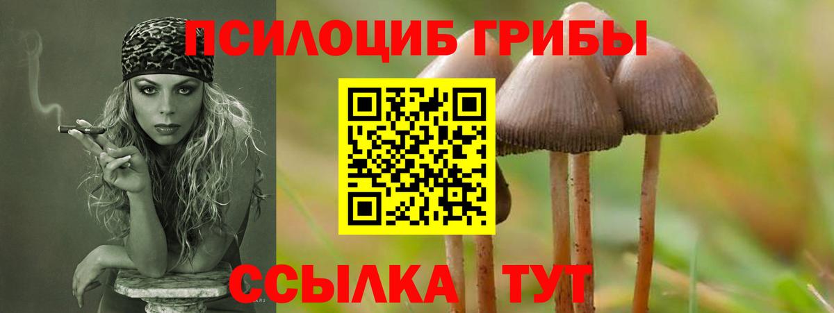 Галлюциногенные грибы MAGIC MUSHROOMS Верхняя Салда